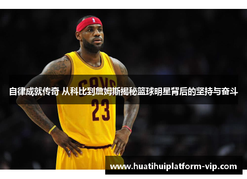 自律成就传奇 从科比到詹姆斯揭秘篮球明星背后的坚持与奋斗